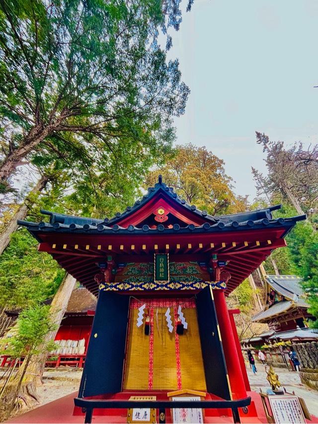 日枝神社（日光二荒山神社末社）の参拝記録9