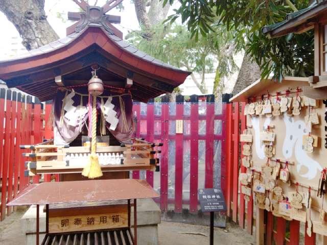 蛇松神社(白山神社境内末社)の参拝記録10