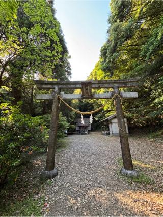 瀧神社（都農神社・奥宮）の参拝記録(KUMIKOさん)