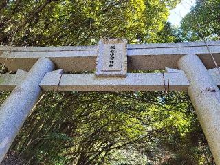 福智中宮神社の参拝記録(julia43226さん)