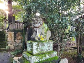 越生神社の参拝記録(飛成さん)