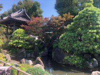 大蓮寺の参拝記録(コバルトブルーさん)