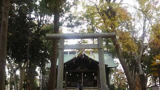 浅間神社の参拝記録(miyumikoさん)