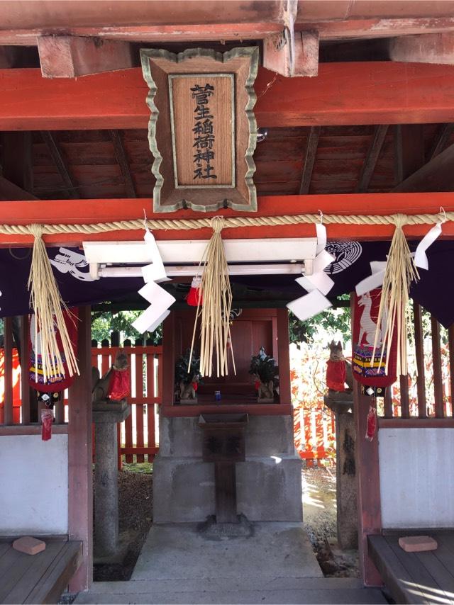 菅生稲荷神社の参拝記録3