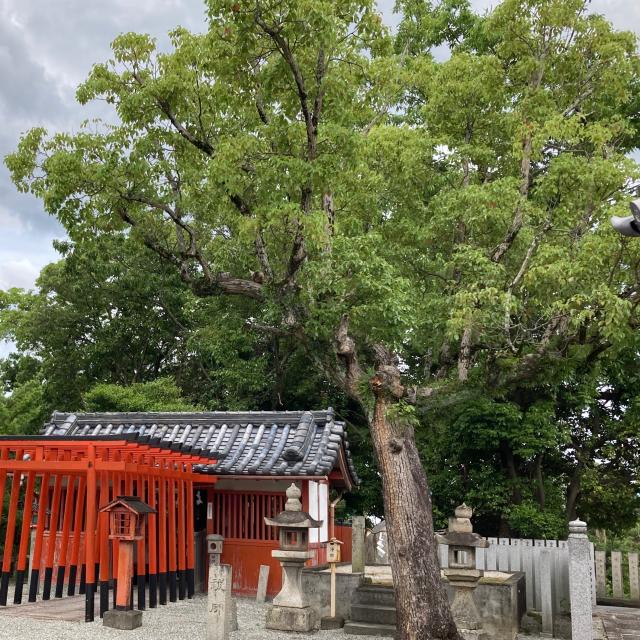 菅生稲荷神社の参拝記録4