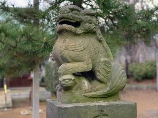門前氷川神社の参拝記録(shikigami_hさん)