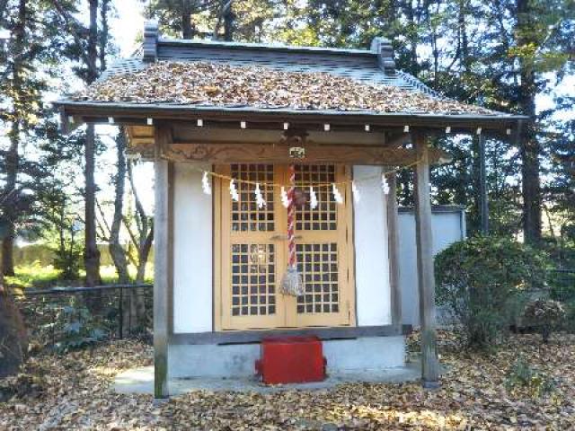 東京都東久留米市金山町1-6-2 厳島神社の写真1