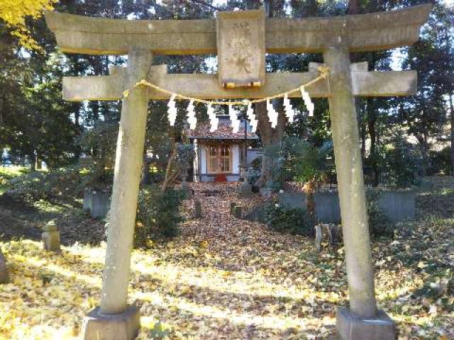 東京都東久留米市金山町1-6-2 厳島神社の写真2