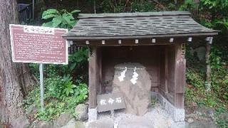 丹那神社の参拝記録(とぉちゃまさん)