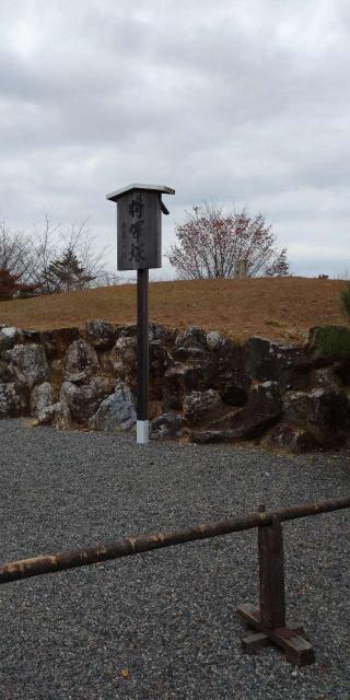 天台宗青蓮院門跡 将軍塚青龍殿（大日堂）の参拝記録(K.Tさん)