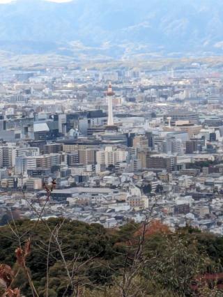 天台宗青蓮院門跡 将軍塚青龍殿（大日堂）の参拝記録(たこやきさん)