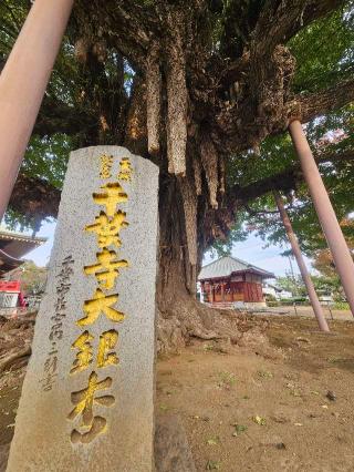 三峯神社（麻賀多神社摂社）の参拝記録(たくまささん)