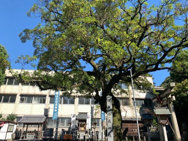 岐阜信長神社（橿森神社摂社）の参拝記録(くーさん)