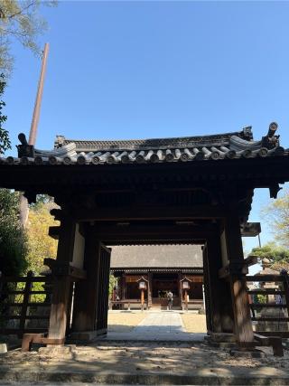 大海神社(住吉大社摂社)の参拝記録(⛩️🐉🐢まめ🐢🐉⛩️さん)