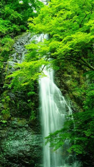 箕面山 瀧安寺の参拝記録(布袋大国さん)