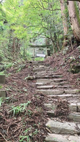 名草厳島神社の参拝記録(renardさん)