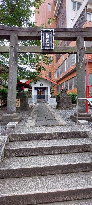 坂稲荷神社の参拝記録(まーぼーさん)