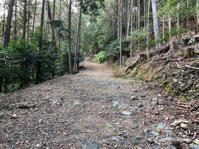 滋賀県大津市坂本5-1-1 日吉大社 三宮宮の写真6