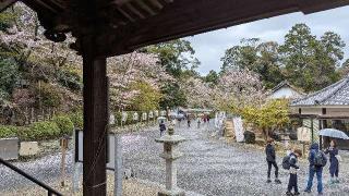 長等山 園城寺(三井寺) 微妙寺の参拝記録(くまたろうさん)