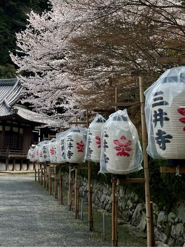 長等山 園城寺(三井寺) 微妙寺の参拝記録7