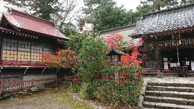新潟県新潟市中央区旭町通2番町736 諏訪神社の写真8