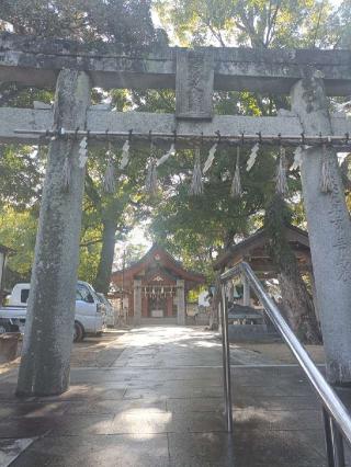 岩崎神社の参拝記録(ゆみねえさん)