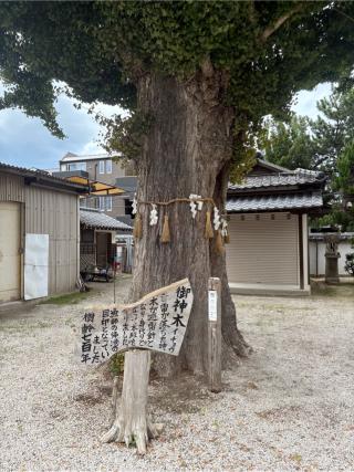 姪浜住吉神社の参拝記録(わんいぇいさん)