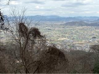厳魂神社（金刀比羅宮奥社）の参拝記録(たかしさん)