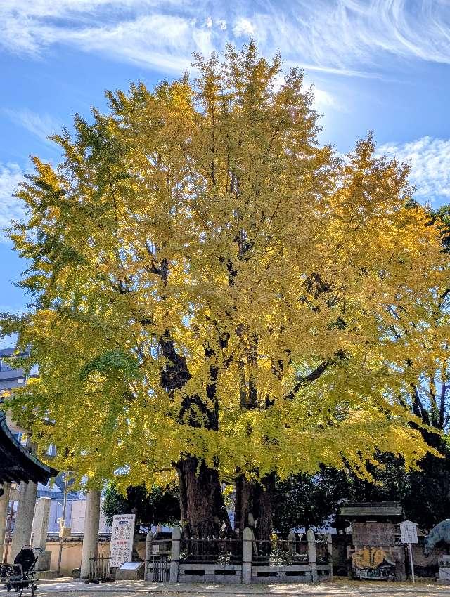 二日市八幡宮の参拝記録6