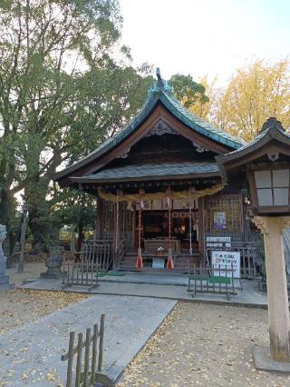 二日市八幡宮の参拝記録(ゆみねえさん)