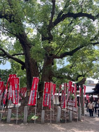 楠珺社（住吉大社末社）の参拝記録(⛩️🐍🐢まめ🐢🐍⛩️さん)