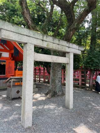 若宮八幡宮(住吉大社摂社)の参拝記録(⛩️🐍🐢まめ🐢🐍⛩️さん)