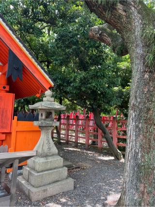若宮八幡宮(住吉大社摂社)の参拝記録(⛩️🐍🐢まめ🐢🐍⛩️さん)