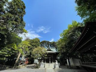白山神社の参拝記録(雪369さん)
