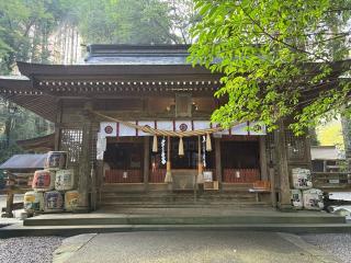 祇園神社の参拝記録(いけさん)