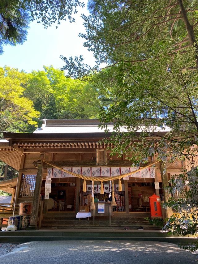 祇園神社の参拝記録(でる太さん)