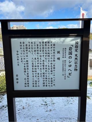 岩国白蛇神社の参拝記録(マロンさん)