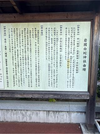 岩国白蛇神社の参拝記録(コットンさん)