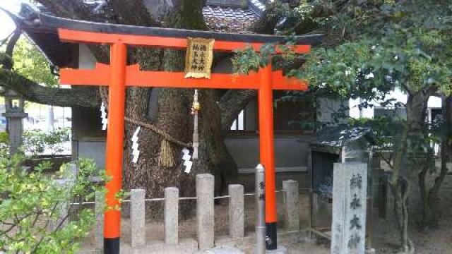 楠永神社の参拝記録10