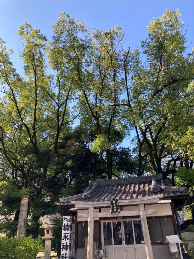 楠永神社の参拝記録5