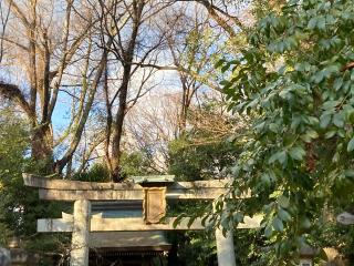 文子天満宮(北野天満宮末社)の参拝記録(恭子さん)