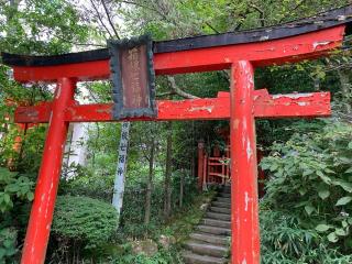 恵比寿社（箱根神社末社）の参拝記録(恭子さん)