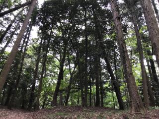 岩戸神社の参拝記録(Crystalさん)