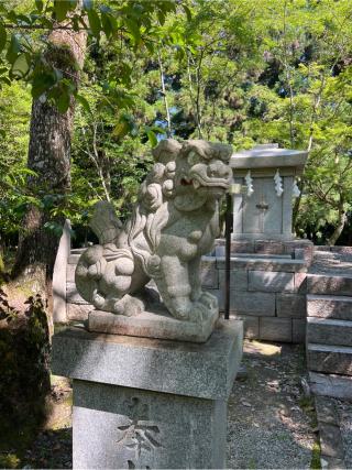 熊野本宮大社旧社地 大斎原の参拝記録(⛩️🐍🐢まめ🐢🐍⛩️さん)