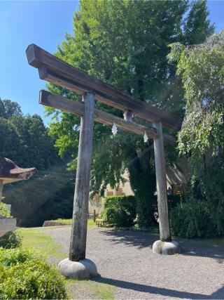 熊野本宮大社旧社地 大斎原の参拝記録(⛩️🐍🐢まめ🐢🐍⛩️さん)