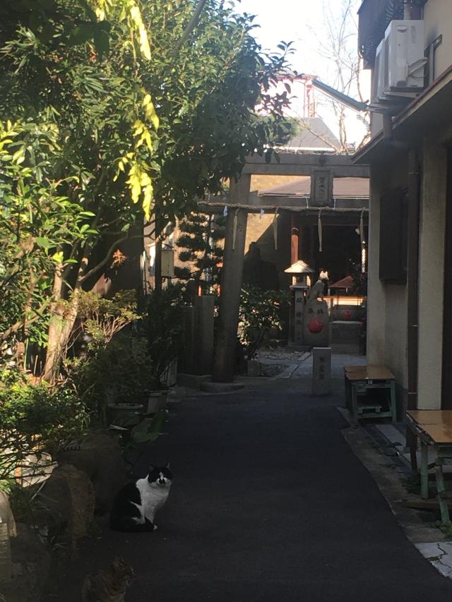 松乃木大明神の参拝記録7