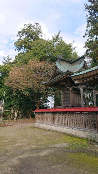 素鵞神社の参拝記録(まっくさん)