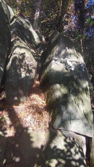 鹿嶋神社の参拝記録(あにぃさん)