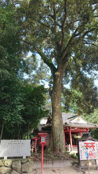 御年神社の参拝記録(ゆみ33さん)