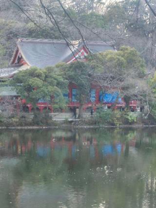 井の頭弁財天の参拝記録(ヒロ&ダディさん)